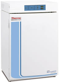 赛默飞Thermo4131培养箱