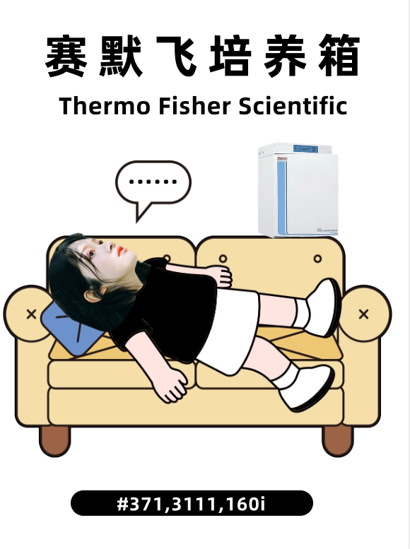 赛默飞Thermo 371培养箱：高效细胞培养解决方案