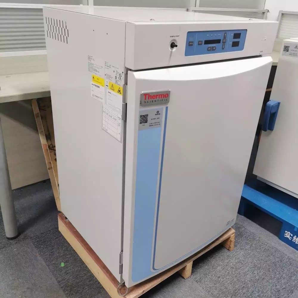 赛默飞Thermo3121培养箱