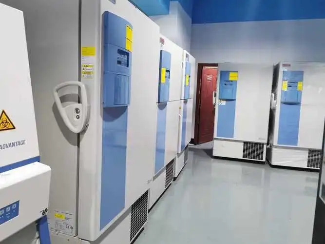 赛默飞世尔 Thermo 超低温冰箱 RLE 30086V