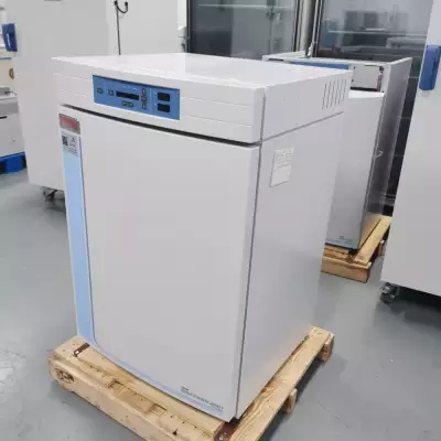 赛默飞Thermo3141培养箱