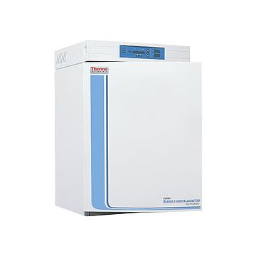 Thermo细菌培养箱