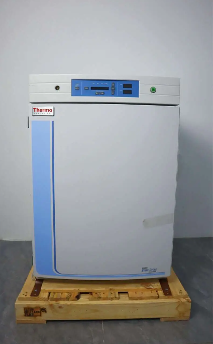 赛默飞Thermo3111培养箱